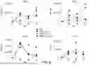 Fig. 07 - Oncolytic viruses targeting STAT3
