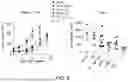 Fig. 09 - Oncolytic viruses targeting STAT3