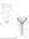 Fig. 02 - An Anal Probe