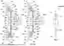 Fig. 06 - AIRCRAFT PROPULSION SYSTEM WITH INTERMITTENT COMBUSTION ENGINE(S)