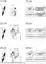 Fig. 09 - EVALUATION METHOD OF IMAGE BLUR CORRECTION CAPABILITY OF IMAGE CAPTURING APPARATUS, IMAGE CAPTURING APPARATUS, AND RECORDING MEDIUM