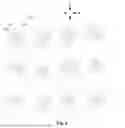 Fig. 05 - DISPLAY PANEL AND DISPLAY APPARATUS