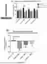 Fig. 07 - METHODS OF TREATING OR PREVENTING RESPIRATORY CONDITIONS