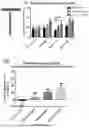 Fig. 09 - METHODS OF TREATING OR PREVENTING RESPIRATORY CONDITIONS