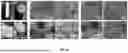 Fig. 10 - Porous Materials For Treating Contaminants