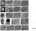Fig. 11 - Porous Materials For Treating Contaminants