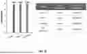 Fig. 12 - Porous Materials For Treating Contaminants
