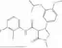 Fig. 1019 - Substituted cyclic amides and their use as herbicides