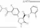 Fig. 1060 - Substituted cyclic amides and their use as herbicides