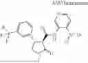 Fig. 1061 - Substituted cyclic amides and their use as herbicides