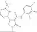 Fig. 1101 - Substituted cyclic amides and their use as herbicides