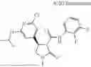 Fig. 1194 - Substituted cyclic amides and their use as herbicides