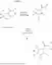 Fig. 26 - Substituted cyclic amides and their use as herbicides
