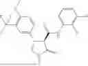 Fig. 316 - Substituted cyclic amides and their use as herbicides
