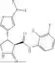 Fig. 449 - Substituted cyclic amides and their use as herbicides