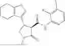 Fig. 606 - Substituted cyclic amides and their use as herbicides