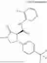 Fig. 871 - Substituted cyclic amides and their use as herbicides