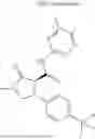 Fig. 879 - Substituted cyclic amides and their use as herbicides