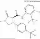 Fig. 939 - Substituted cyclic amides and their use as herbicides