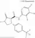 Fig. 958 - Substituted cyclic amides and their use as herbicides