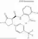 Fig. 969 - Substituted cyclic amides and their use as herbicides