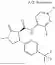 Fig. 980 - Substituted cyclic amides and their use as herbicides