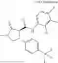 Fig. 981 - Substituted cyclic amides and their use as herbicides