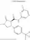 Fig. 987 - Substituted cyclic amides and their use as herbicides
