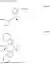 Fig. 25 - TRANSPARENT ARTICLE