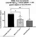 Fig. 01 - RECOMBINANT NEPROSIN POLYPEPTIDES AND METHODS OF EXPRESSION
