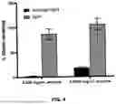 Fig. 06 - RECOMBINANT NEPROSIN POLYPEPTIDES AND METHODS OF EXPRESSION