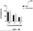 Fig. 07 - DUAL-SPECIFIC APTAMER TRIGGERING CELL-MEDIATED CYTOTOXICITY TO LYSE HER2-POSITIVE CANCER CELLS