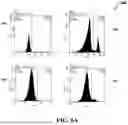 Fig. 09 - DUAL-SPECIFIC APTAMER TRIGGERING CELL-MEDIATED CYTOTOXICITY TO LYSE HER2-POSITIVE CANCER CELLS