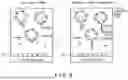 Fig. 09 - OPTICAL MEASUREMENT METHOD, OPTICAL MEASUREMENT SYSTEM, AND TEST KIT