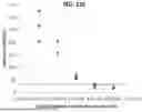 Fig. 22 - METHODS AND SYSTEMS FOR DETECTION OF MICROORGANISMS