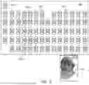 Fig. 06 - EXPRESSION TRANSFER TO STYLIZED AVATARS