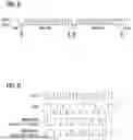 Fig. 08 - Fire safety device address and location verification