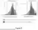 Fig. 06 - Determining Gains for Amplifiers in an Optical Network