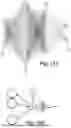 Fig. 08 - Device and method for measuring blood parameter