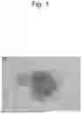 Fig. 02 - AGENT FOR ACTIVATING A NEURON