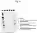 Fig. 09 - AGENT FOR ACTIVATING A NEURON