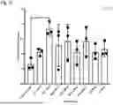 Fig. 22 - AGENT FOR ACTIVATING A NEURON