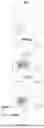 Fig. 04 - FUNCTIONALIZED SHIGA TOXIN B-SUBUNIT (STxB) PROTEINS AND CONJUGATES THEREOF