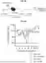 Fig. 06 - COMPOSITIONS AND METHODS FOR TREATING, AMELIORATING, AND/OR PREVENTING VIRAL INFECTIONS