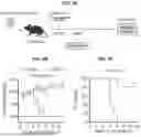 Fig. 08 - COMPOSITIONS AND METHODS FOR TREATING, AMELIORATING, AND/OR PREVENTING VIRAL INFECTIONS