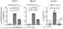 Fig. 09 - COMPOSITIONS AND METHODS FOR TREATING, AMELIORATING, AND/OR PREVENTING VIRAL INFECTIONS