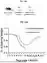 Fig. 28 - COMPOSITIONS AND METHODS FOR TREATING, AMELIORATING, AND/OR PREVENTING VIRAL INFECTIONS
