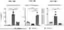 Fig. 33 - COMPOSITIONS AND METHODS FOR TREATING, AMELIORATING, AND/OR PREVENTING VIRAL INFECTIONS
