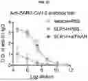 Fig. 65 - COMPOSITIONS AND METHODS FOR TREATING, AMELIORATING, AND/OR PREVENTING VIRAL INFECTIONS