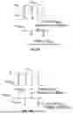 Fig. 10 - Electrical enhancement of bilayer formation